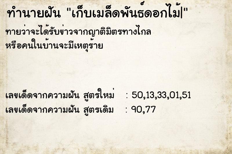 ทำนายฝัน เก็บเมล็ดพันธ์ดอกไม้|